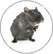 Résolue , spécialiste anti-rats